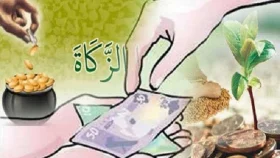 দারিদ্র বিমোচনে জাকাতভিত্তিক ইসলামী অর্থনীতির বিকল্প নেই: সেলিম উদ্দিন