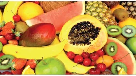 ওজন কমাতে সাধারণ নিয়ম