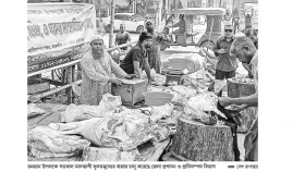 ১০০ টাকায়ও মিলবে গরুর মাংস