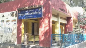 &lsquo;প্রতিষ্ঠান টিকিয়ে রাখতে গেলে অনিয়ম হতেই পারে&rsquo;