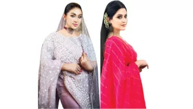 পরী-অপুর নতুন রূপ