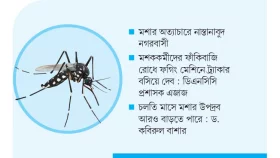 এডিসের মধ্যেই কিউলিক্সের দাপট