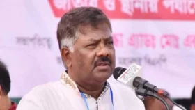 ভারতের মাথা নষ্ট হয়ে গেছে: দুলু