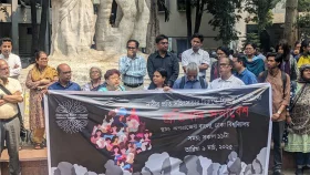 স্বরাষ্ট্র উপদেষ্টার পদত্যাগ নয়, পদচ্যুতি চাইলেন ঢাবি অধ্যাপক