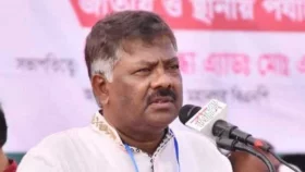 দ্রুত নির্বাচন দিন, প্রয়োজনীয় সংস্কার নির্বাচিত সরকারই করবে: দুলু