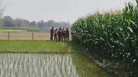 দহগ্রাম সীমান্তে বিএসএফের কাঁটাতার নির্মাণের চেষ্টা, বিজিবির বাঁধায় বন্ধ