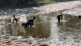 রায়পুরে ঘের দখল করে মাছ লুটের অভিযোগ