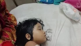 দৌলতখান সড়কে ঝড়ল ২ প্রাণ