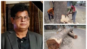 বন কর্মকর্তার সহযোগিতায় টেন্ডার ছাড়াই গাছ কাটার অভিযোগ