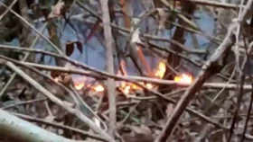 আবারও আগুন সুন্দরবনে, জ্বলছে বনভূমি