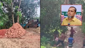 সাংবাদিকের বাড়িতে হামলা, ভাঙচুর ও দখলচেষ্টা জামায়াত নেতার