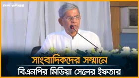 স্বাধীনতা সার্বভৌমত্ব বিপন্ন করতেই সেনাবাহিনীকে বিতর্কিত করা হচ্ছে: মির্জা ফখরুল