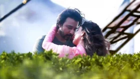 মুক্তিতে বাধাহীন ‘দাগি’