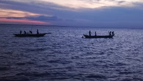 মেঘনায় জাটকা নিধনে প্রশাসনের নজরদারি না থাকার অভিযোগ