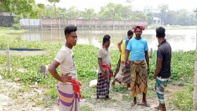 মাথায় পিস্তল ঠেকিয়ে পিকআপসহ মাছ লুট, ড্রাইভারকে অপহরণ