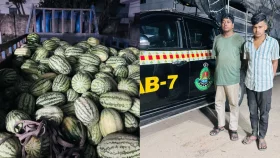 তরমুজের পিকআপ থেকে ৭৪ কেজি গাঁজা জব্দ