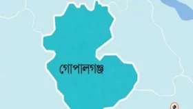 গোপালগঞ্জে গাড়ির ধাক্কায় অজ্ঞাত বৃদ্ধ নিহত