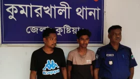 চাচির পর্নোগ্রাফি মামলায় দুই ভাতিজা কারাগারে