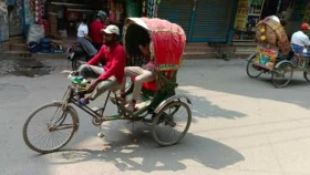 টিউশনি শেষে ফেরার পথে অটোরিকশার ধাক্কায় নারীর মৃত্যু