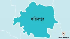 ফরিদপুরে চোরকে চিনে ফেলায় প্রবাসীকে হত্যা