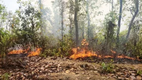 আগুন আতঙ্কে কালিয়াকৈর বনাঞ্চলের বাসিন্দারা, হুমকিতে পরিবেশ