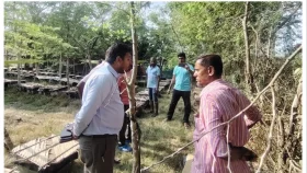 মধুতে চিনি দেয়ায় চাষিকে অর্ধলাখ টাকা জরিমানা