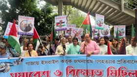 জাতিসংঘ-ওআইসির নিশ্চুপ ভূমিকা নিয়ে প্রশ্ন এনপিপির