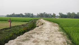 শাহজাদপুরে রাস্তাঘাটের ব্যাপক উন্নয়ন  