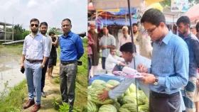 মুরাদনগরে ইউএনও ও এসিল্যান্ডের পৃথক অভিযান