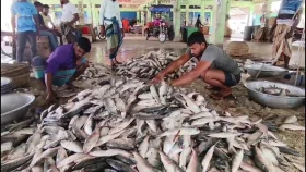 পহেলা বৈশাখকে ঘিরে নাগালের বাইরে ইলিশের দাম&nbsp;