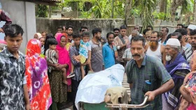 জামালপুরে ছেলের দায়ের কোপে মা খুন