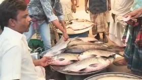 মুরাদনগরে শতবর্ষী মাছের মেলায় ক্রেতাদের ভিড়
