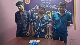 পুলিশ কনস্টেবলসহ ৩ মাদক কারবারি আটক