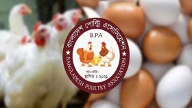 দেশজুড়ে ১ মে থেকে ডিম-মুরগির খামার বন্ধ ঘোষণা