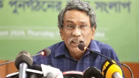 গণতান্ত্রিক আন্দোলনের ক্ষেত্রে বিএনপির বিশাল ভূমিকা রয়েছে: আলী রিয়াজ