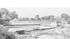 হালদার ক্যানসার ভূজপুর রাবার ড্যাম