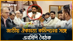 'একটি দলকে সরিয়ে অন্য দলকে বসানোর জন্য গণঅভ্যুত্থান হয়নি'