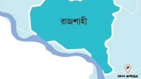 রাজশাহীতে বিদ্যুৎস্পৃষ্টে ২ শিশুর মৃত্যু