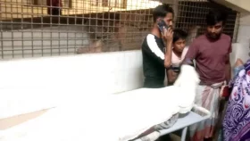 বন্ধুর সঙ্গে ঘুরতে বেরিয়ে প্রাণ গেল এসএসসি পরীক্ষার্থীর