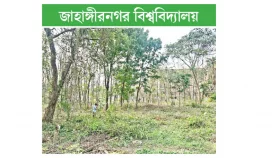 ভবন নির্মাণে কাটা হবে অর্ধশত গাছ
