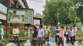 বিরামপুরে পারিবারিক পুষ্টি বাগানের উপকরণ পেলেন ৩৬ কৃষক