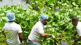 'যুবদল শুধু রাজপথে নয়, জনগণের কল্যাণে মাঠেও আছে'