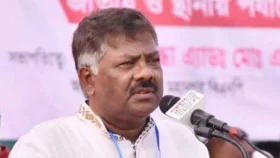 যতদিন বেঁচে আছি হিন্দু ভাইদের পাশে থাকব: দুলু