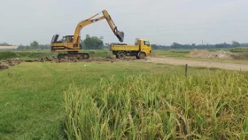 কৃষিজমির মাটি কাটার অভিযোগ বিএনপি ও যুবলীগ নেতার বিরুদ্ধে 