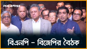 আমরা চাই না অন্তর্বর্তী সরকার ফেল করুক: আন্দালিব রহমান পার্থ