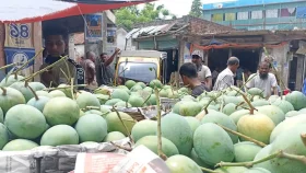৫ মে থেকে বাজারে আসবে সাতক্ষীরার প্রসিদ্ধ আম