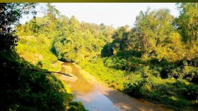 মুক্তিপণের বিনিময়ে ফেরত ৭ শিক্ষার্থী