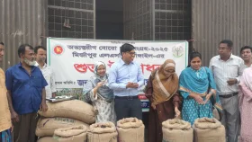 মির্জাপুরে সরকারিভাবে বোরো ধান সংগ্রহ শুরু, মণ ১৪৪০ টাকা