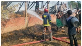 ফেনীতে মুরগীর খামারে আগুন, ব্যাপক ক্ষতি