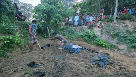 বাঁশখালীতে আবা&zwnj;রো হাতির শাবককে মারার অভিযোগ